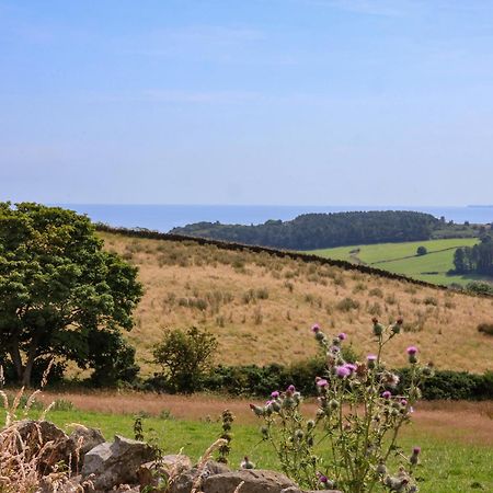Dairy Cottage Staintondale エクステリア 写真